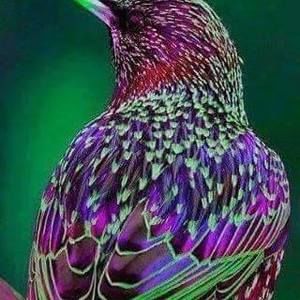 Meet your Posher, Tama